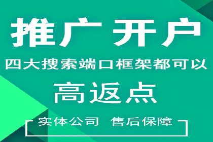 SEM营销案例：电商平台的流量密码